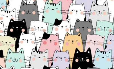 Gattopolis